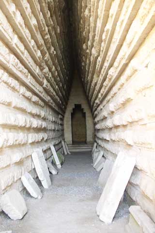 Царский курган.