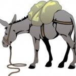 (Русский) Сказка о мудром ишаке