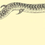 (Русский) Чершамбе (Русский) Чершамбе