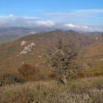 (Русский) Святая могила. (Русский) Святая могила.