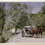 Весна в Крыму, 1910 год.