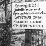 Подборка фотографий на тему «Освобождение Крыма». Часть 5.