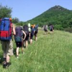 В Крыму при поддержке России будут развивать детский туризм