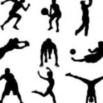 Спортом в Крыму займется профильное предприятие