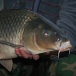 (Русский) Возле Белогорска устроят соревнования по ловле карпа