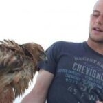 (Русский) Крымская самооборона будет бороться с фотографами-живодерами