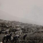 Фотоальбом времён фашистской оккупации Крыма 1941-1944 гг. Фото 15.