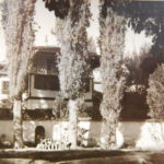 Фотоальбом времён фашистской оккупации Крыма 1941-1944 гг. Фото 42.