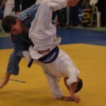 В Гаспре устроят Международный турнир по дзюдо