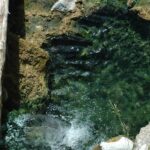 Потенциал минеральных вод в Крыму оказался неиспользованным на 90%