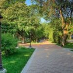 В Крыму за порчу зеленых насаждений придется платить в двойном размере