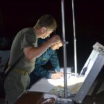 (Русский) В Севастополе обезвредили мину и авиабомбы