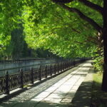 Мэр Симферополя намерен сделать столицу Крыма городом парковых зон