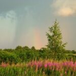 (Русский) В Крым придет долгожданная прохлада (Русский) В Крым придет долгожданная прохлада