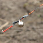 (Русский) Под Симферополем устроят чемпионат Севастополя по фидерной ловле