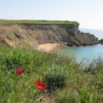 (Русский) Заповедники Крыма могут потерять свой статус, – эколог