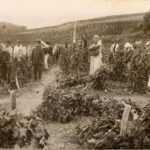 Крым в старинных фотографиях. Часть 1.