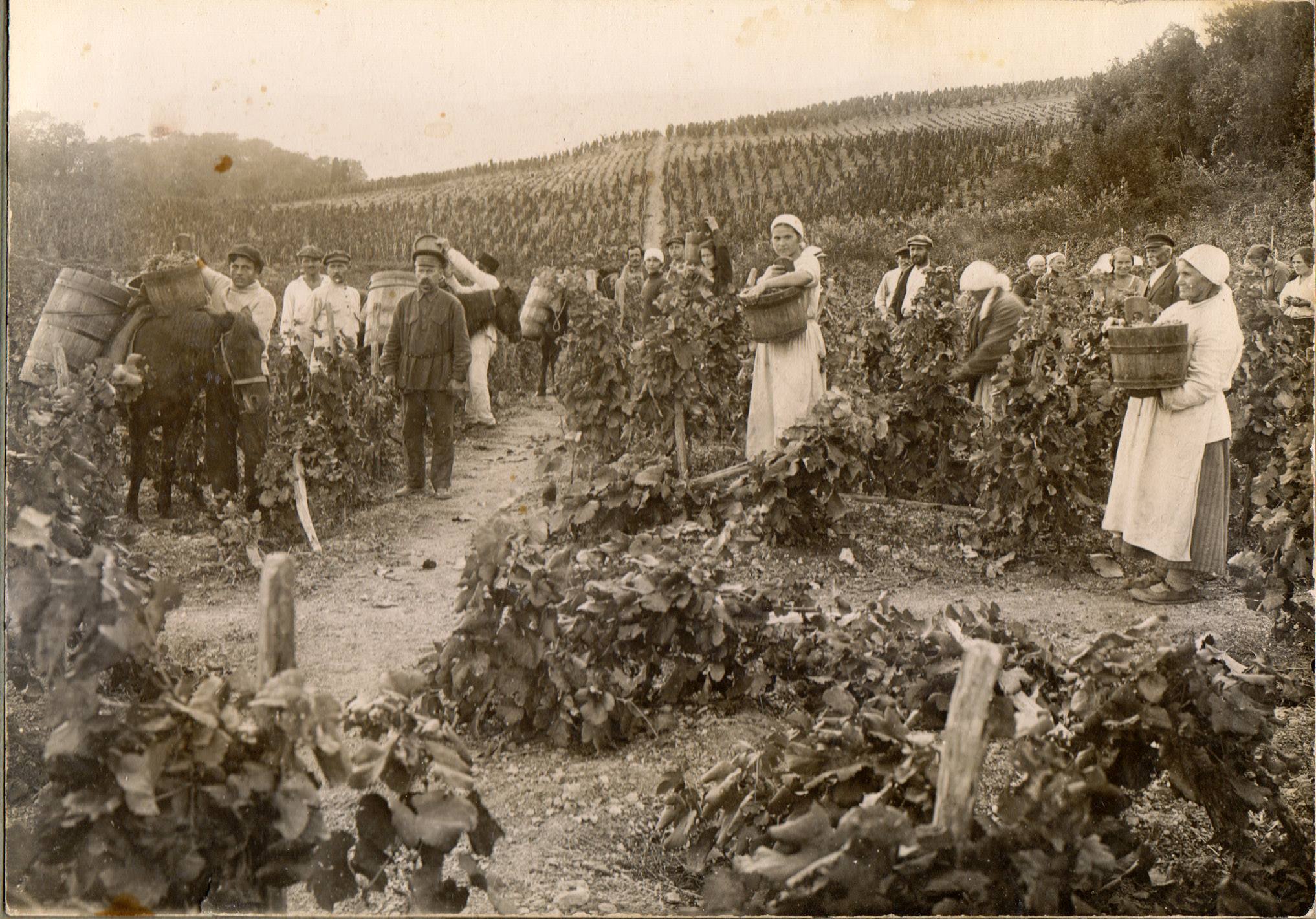 10704246_754945874566578_3742396083974462725_o