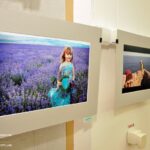 В Симферополе открылась фотовыставка, посвященная лету