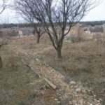 (Русский) Крымчане, подавшие заявления на получение земельных участков до 16 марта, получат их бесплатно – Аксёнов