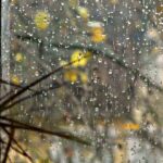 На неделе в Крыму пройдут небольшие дожди