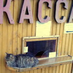 (Русский) Работники бюджетных организаций в Крыму пожаловались на задержку зарплаты