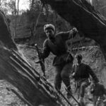 Весной в Крыму наметили открыть музей партизанской славы