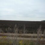 (Русский) Треть земли сельскохозяйственного назначения в Крыму оказалась без документов