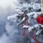 Крыму обещают помочь с новогодними елками