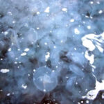 (Русский) Крымское побережье оккупировали медузы