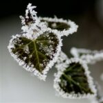 (Русский) Завтра в Крыму резко похолодает