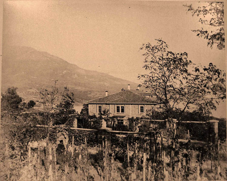 Ливадия. Вид здания казармы у въезда в имение Ливадия; на первом плане - виноградники