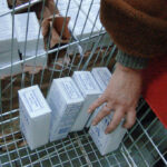 (Русский) Крым не останется без соли