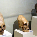 При исследовании ДНК черепов из Перу обнаружен новый тип человека!