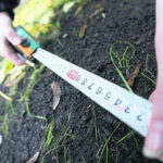 (Русский) Крымчане смогут сами составить схемы земельных участков для их оформления