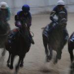 С апреля по ноябрь в Крыму будут устраивать конные скачки