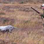 (Русский) На западе Крыма пройдут соревнования легавых собак