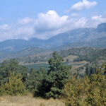 В лесах Крыма пожарную безопасность контролируют видеокамеры