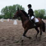 Под Симферополем пройдет Чемпионат Крыма по дистанционным конным пробегам