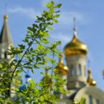 Премьер сделал в Крыму Троицу выходным днем