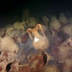 Изучение 125-метровой византийской галеры в Крыму займёт годы