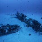 Для создания искусственных рифов возле берегов Ялты предложили затопить баржи и вертолеты