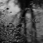 (Русский) На неделе в Крыму ожидаются ежедневные дожди