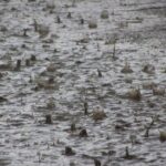 (Русский) На два дня в Крыму объявили штормовое предупреждение