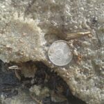 (Русский) Совмин попросил право собирать в Крыму налог на использование земли