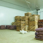 Россельхознадзор вернул из Крыма на Украину 850 тонн овощей и фруктов