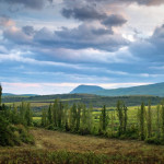 Мурадов: за полтора года Крым посетили около 9 миллионов человек