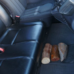 (Русский) Украинец попытался ввезти в Крым бивень моржа и рог носорога