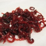 (Русский) Из Крыма пытались незаконно вывезти полтонны личинок