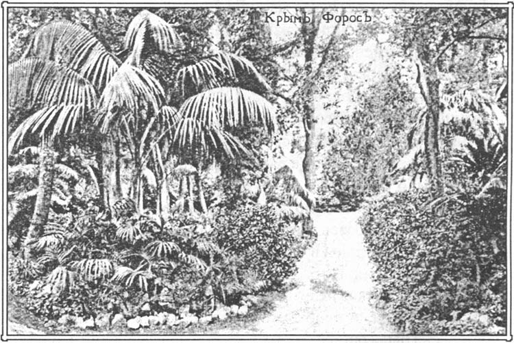 Уголок парка. 1917 г.